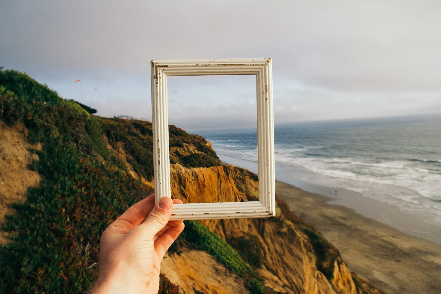 Balancing Multiple Interests: Lissie’s Guide